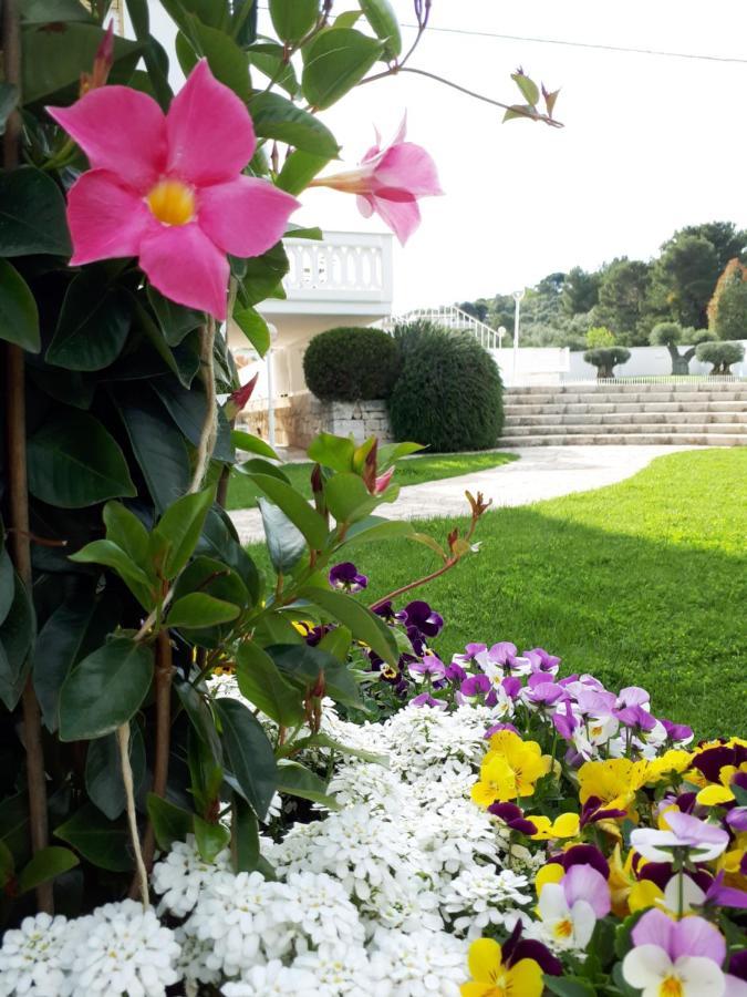 Villa Natia Mottola Ngoại thất bức ảnh